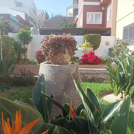 Casa Quico 5 * Santa Cruz de Tenerife